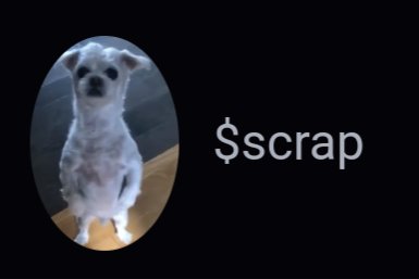 Love how the scrappy logo is an oval