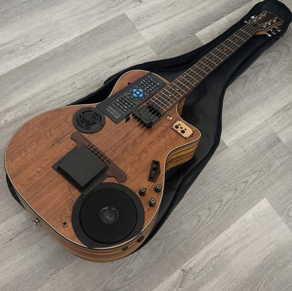 Cursed guitars (@cursedguitars) on Twitter photo 