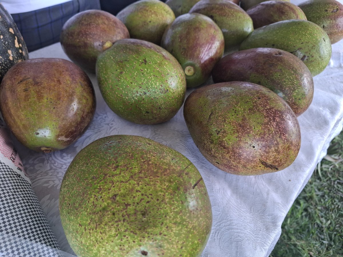 GAIN-Rwanda tweet media