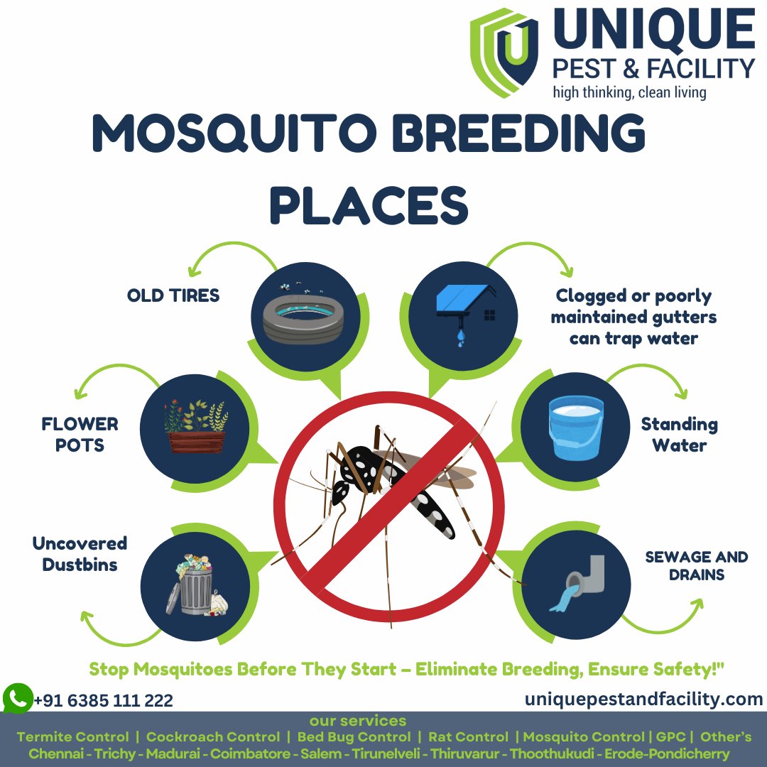 pest_unique's tweet photo. Say goodbye to pesky mosquitoes! Our dedicated pest control team is here to help you identify and eliminate breeding areas around your property. 

Contact Us: +91 6385 111 222

Visit Us: https://t.co/ynNTHSpdEh

#uniquepestandfacility #pestcontrol #mosquitocontrol #chennai https://t.co/AGkdgM0NNY