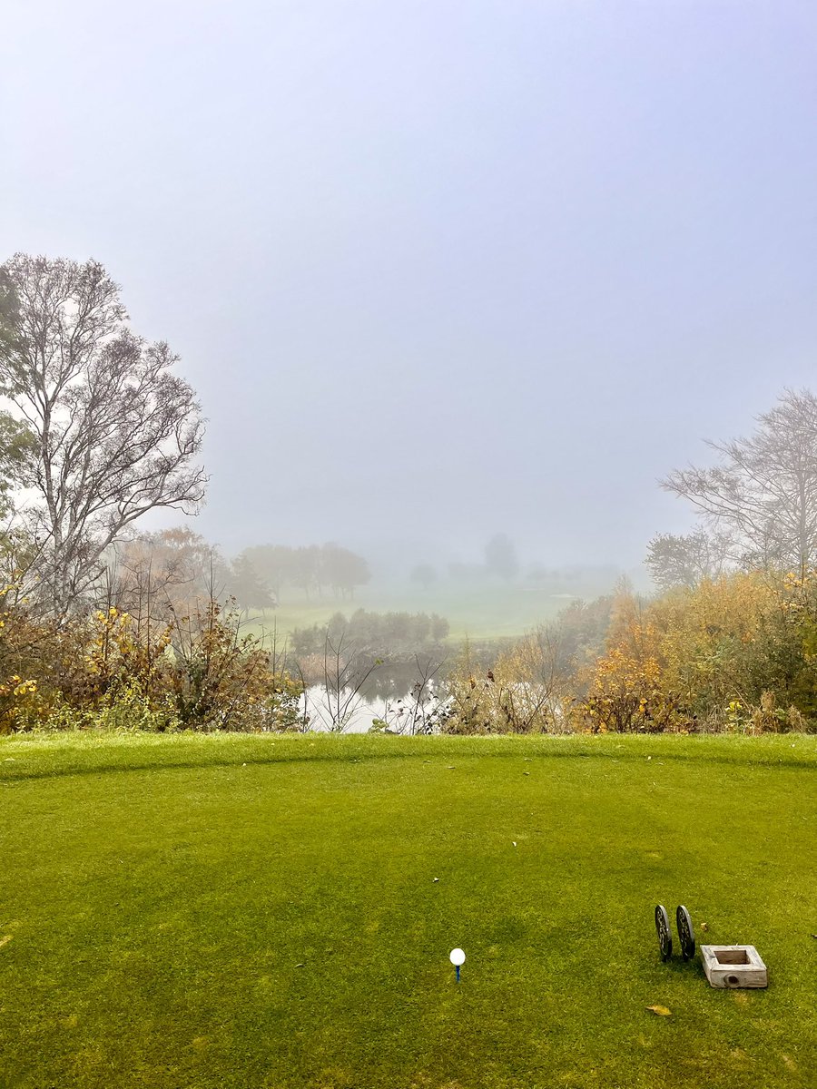 manlinger's tweet image. Golf :)