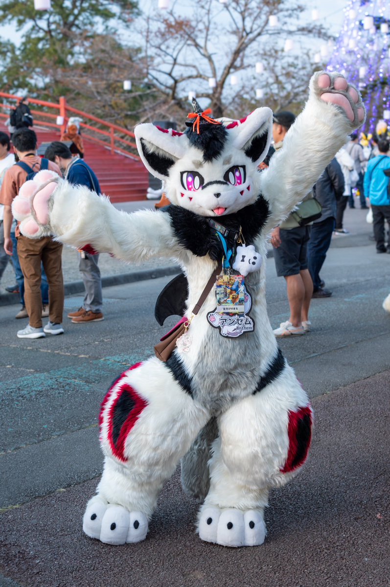 pipinonopino's tweet photo. 昨年のアンセムチャン!
ちょっぴりハロウィン仕様🎃
#FursuitsFriday
#kemocon16 https://t.co/KR36wx4yC6