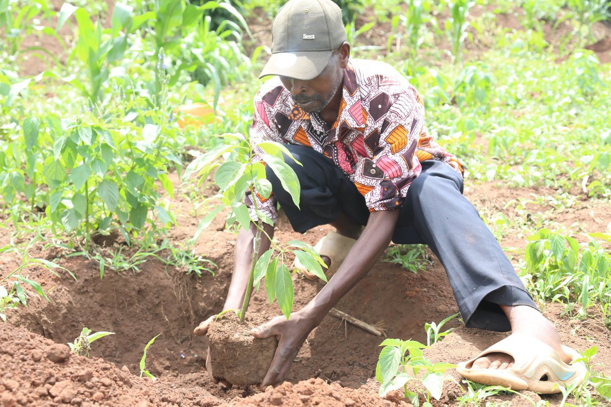 𝐄𝐚𝐬𝐭𝐞𝐫𝐧 𝐏𝐫𝐨𝐯𝐢𝐧𝐜𝐞 | 𝐑𝐰𝐚𝐧𝐝𝐚 tweet media