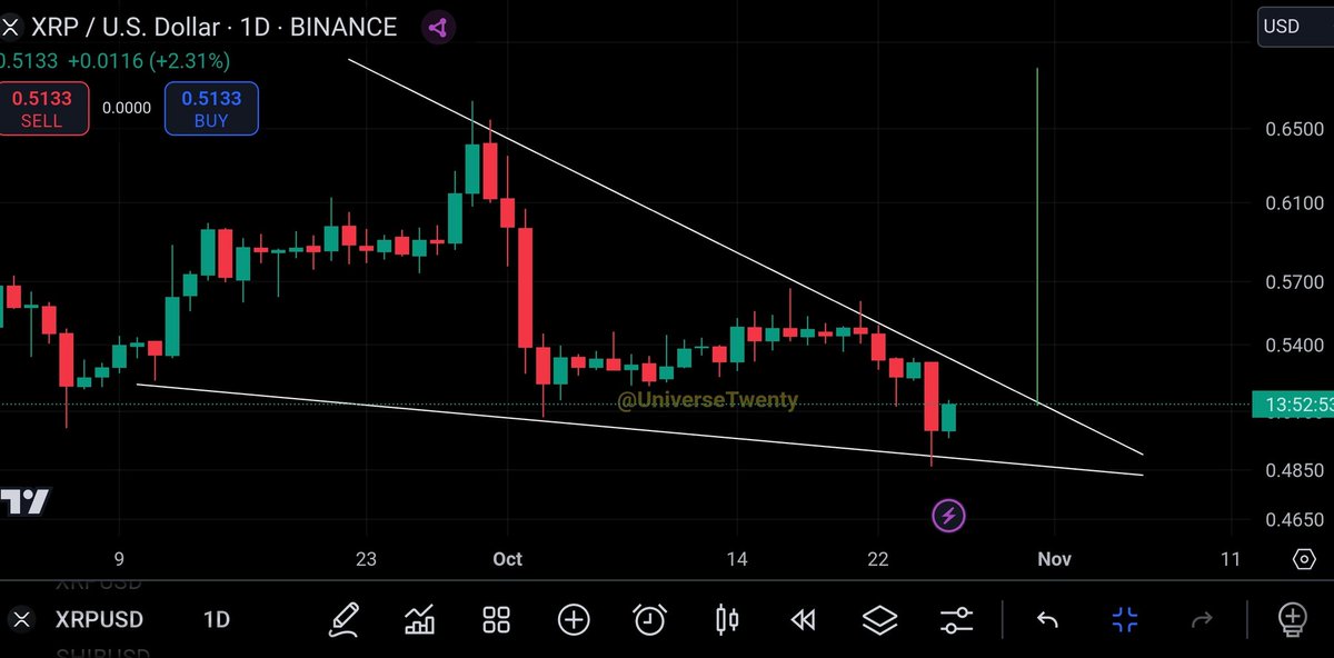 XRP CAPTAIN tweet media