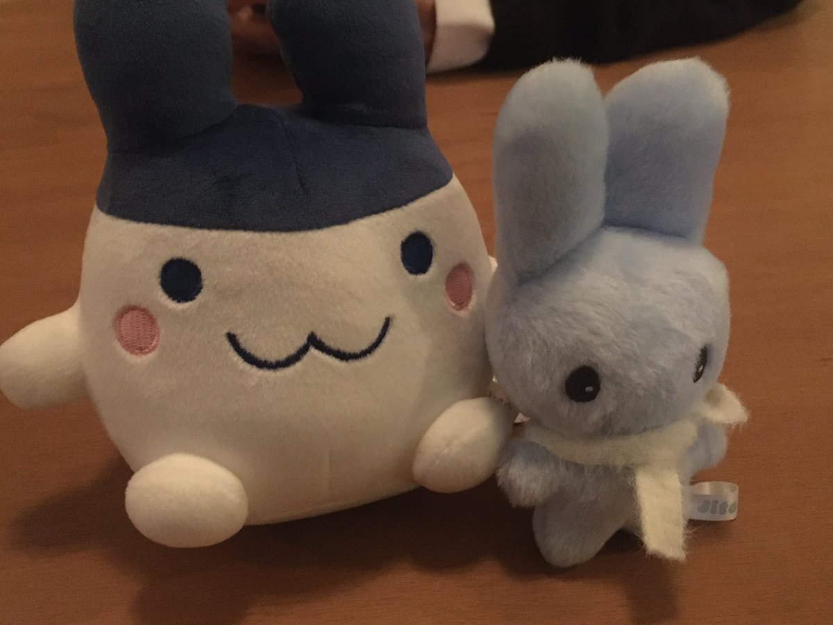 ㅠㅜㅣ님 입양 ^ㅅ^ ㅎㅎ