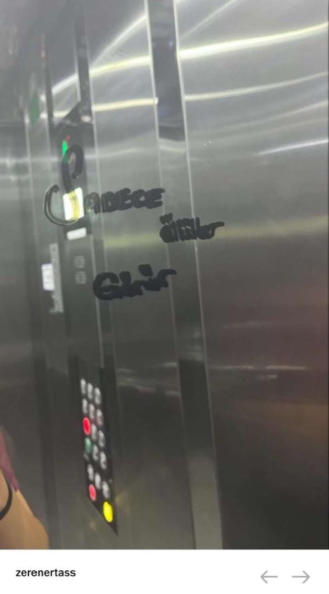 Müh. Prof. Dr. apotemintegral tweet media