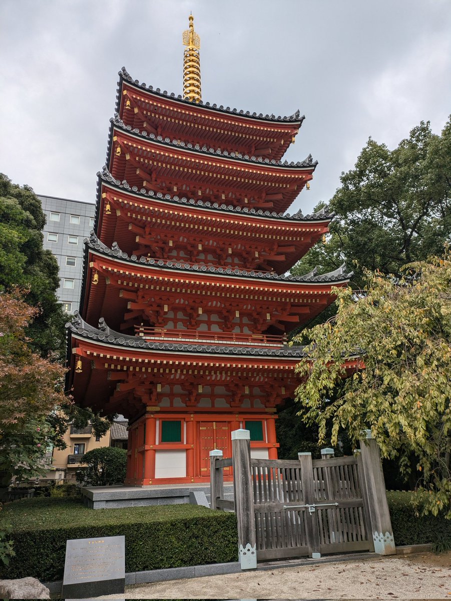 シャドウバース最強チーム決定戦 福岡powered by Rage
個人3-1 チーム2-2で敗退
楽しかったです👏