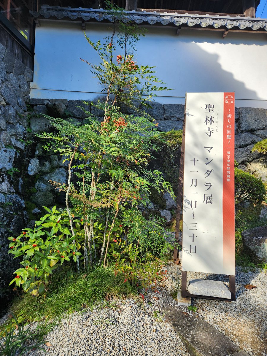 Shorinji_staff's tweet photo. #聖林寺
#マンダラ展
#南天 #千両
#shorinji #templ https://t.co/si6z02WEjs
