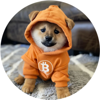 cryptolution101's tweet photo. To the first Tier 1 CEX to list $DOG (Rune) for spot trading in the next 24 hours, I'll buy $10,000 USDπ
(cc. @binance, @coinbase, @okx, @Bybit_Official, @krakenfx, @HTX_Global, @kucoincom, @cryptocom)
If not, I will buy from @MEonBTC Runes DEX.
Hurry up, clocks ticking β° https://t.co/sRJ3ygKhCt