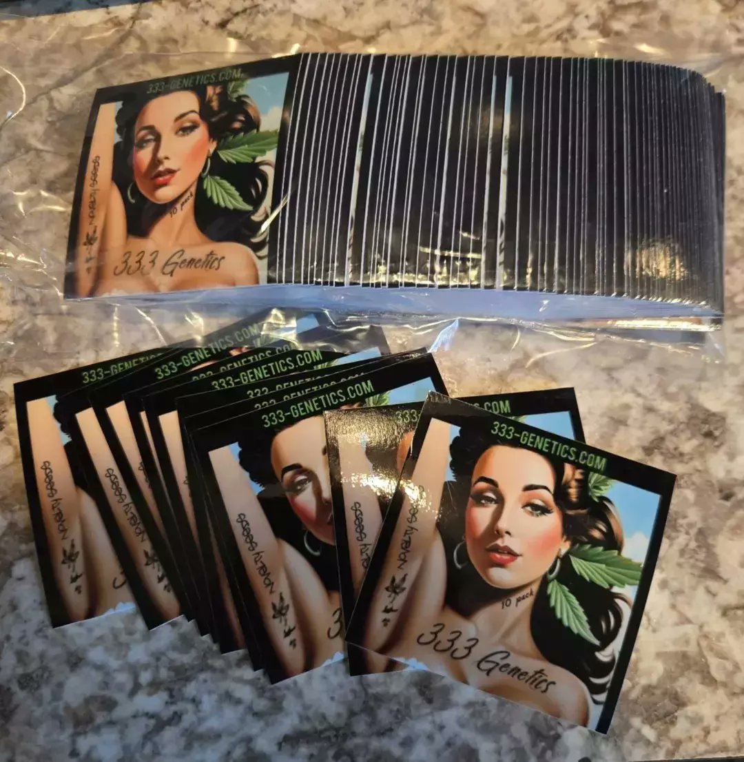 RayRaymond74's tweet image. 333-genetics 2024 ...  88g13hp ... Brand new hybrids 👍❤👍