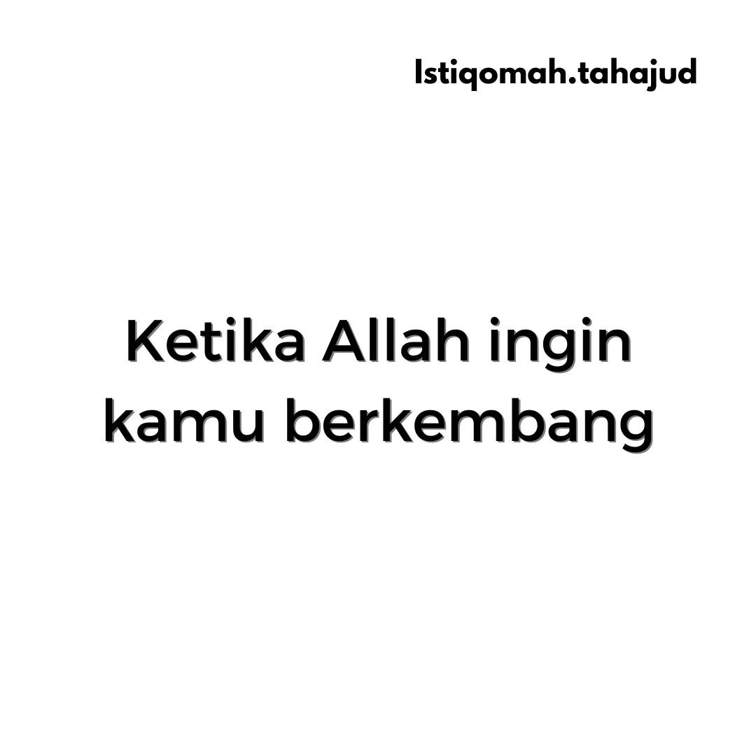 icannn___'s tweet photo. Ketika Allah ingin kamu berkembang.

A Thread https://t.co/6xlIgvNE8z