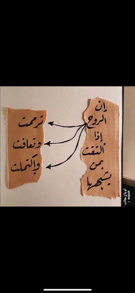 ام حنان (@mnwf16784) on Twitter photo 