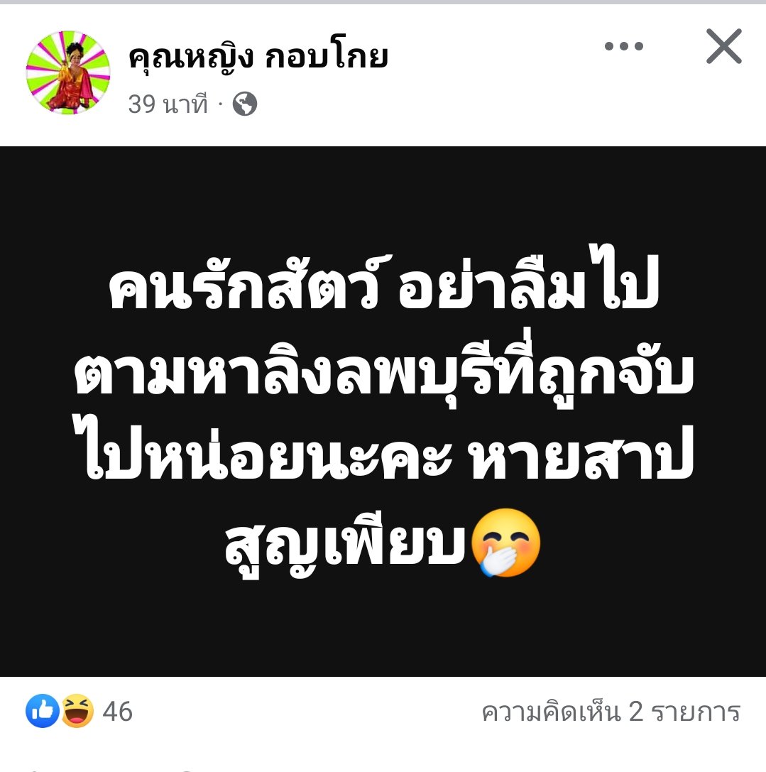 เสียงเล็ก ๆ ของฉัน TK☀🌾 tweet media