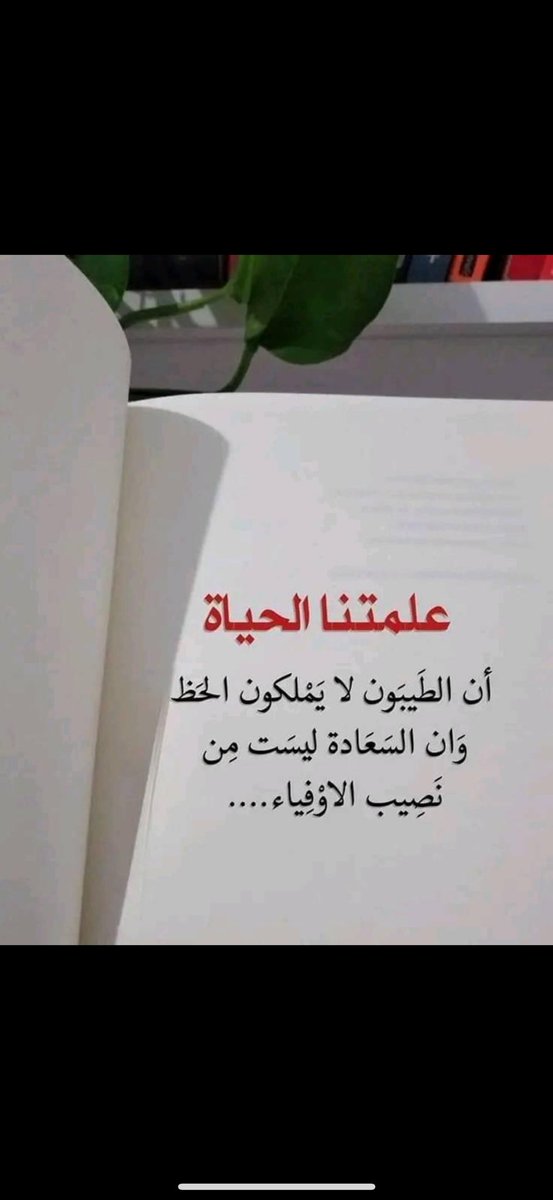 ام حنان (@mnwf16784) on Twitter photo 