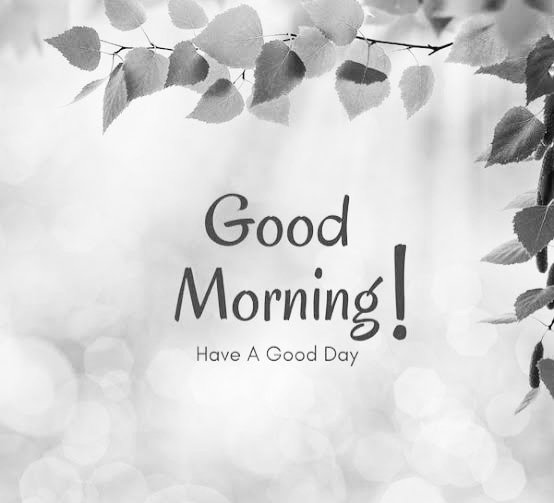 dpdinesh17's tweet image. Good morning to all my x mate 🟠