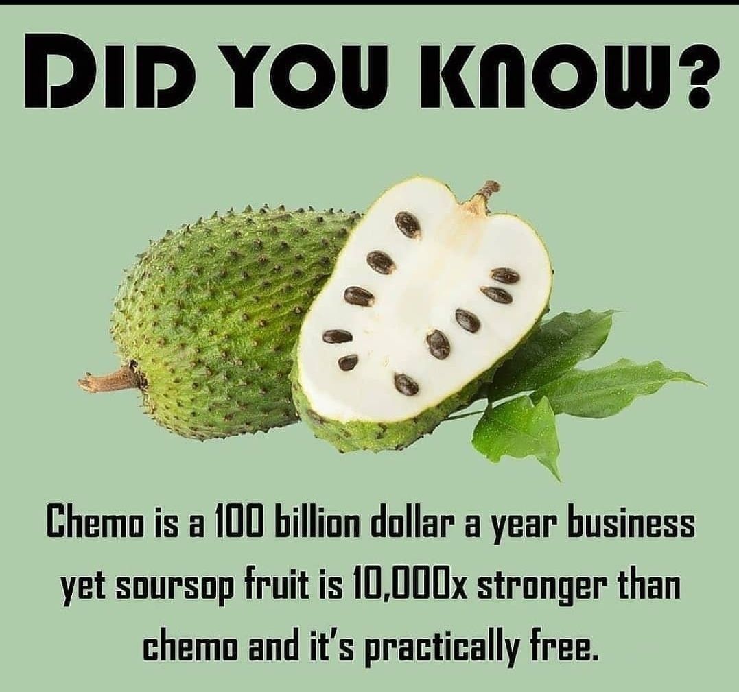 BarbaraOneillAU's tweet photo. This fruit is called soursop or guanabana and has been proven to be 10,000 times more effective than chemotherapy at reversing the affects of cancer. However it does this very differently to chemo though, instead of killing all the cells surrounding the cancer cells often resulting in hair loss, fatigue, nausea, vomiting, anemia, infection, easy bruising/bleeding plus many more! On the contrary "the compound extracted from the Graviola tree selectivelyhunts down and kills only cancer cells. It does not harm healthy cells!"

Why haven't you heard of this amazing fruit?! Well long story short a large company years ago spent millions to find a cure for cancer. However in order for them to have made their money back and further profit from their finding they needed to create a synthetic duplicate of the compound found in the soursop as they could not pattern something natural. Unfortunately for them they were unable to do this so they left it all and didn't publish their findings. Luckily there was one scientist who was unable to let this amazing finding slip under the rug, so he contacted a company that is dedicated to harvesting medical plants in the Amazon rain forest.

Hopefully this post gives you a better understanding at how powerful plants are and why more and more people are becoming plant-powered/vegan to be as healthy as possible and to reverse and avoid chronic disease like coronary heart disease.