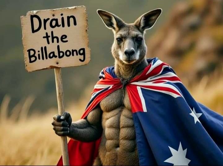 At the next election