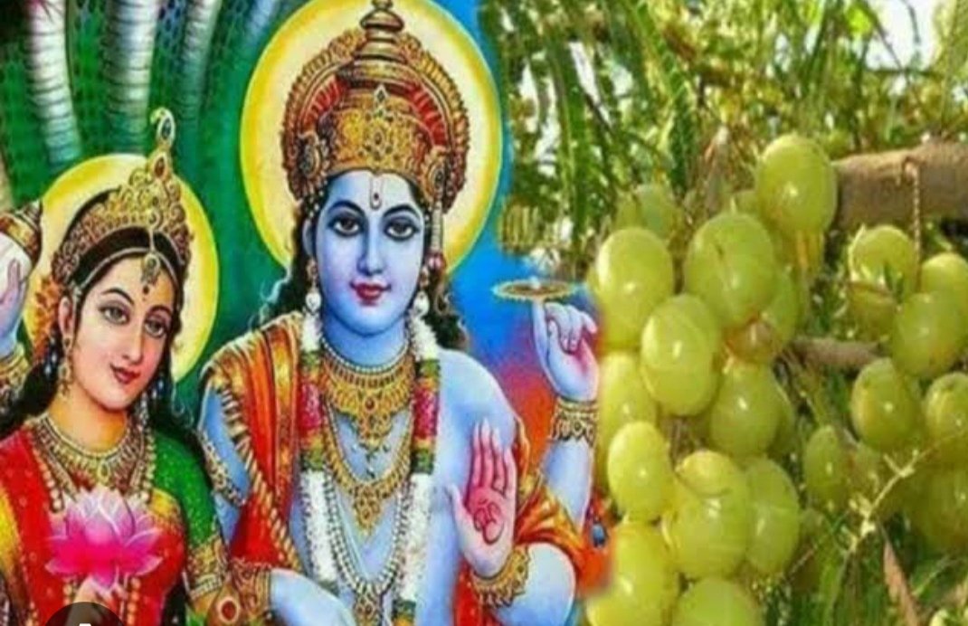 🚩Dharma Shikshan : 

🙏🏻Today's ninth day of Kartik Shukla Paksha, today's special day "#KushmandNavami" is known as "#AkshayNavami", "#AmlaNavami" and "Dhatri Navami". Today the amla tree is worshiped. There is a religious belief that Lord #Vishnu resides on the Amla tree from