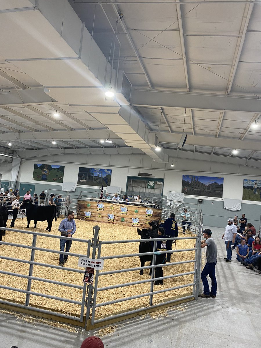 Hailey Patten shows her heifer at the fair tonight.  Advantage Cudas.. #1Team1Mission #NSBHSFFA