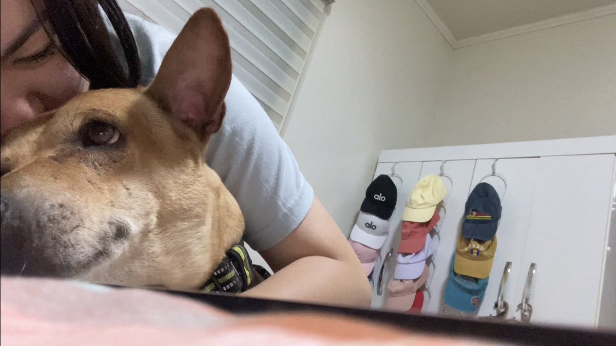 elaismiles's tweet photo. Thank you for being there for me! I promise to take care of you till your old. I love you my bestfriend! 🐾🐕 https://t.co/xogQcQeT9B