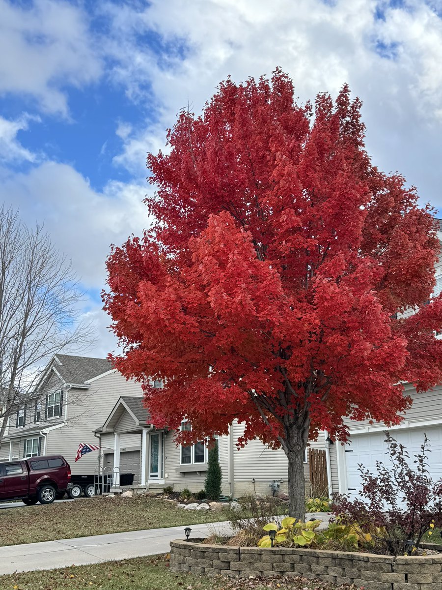 rdennisjr's tweet image. All the fuel for 15 miles of run/walk around the lakes and ponds of West Omaha today. A perfect fall day to clear my head and make my feet hurt in the best way! #fallrun ing