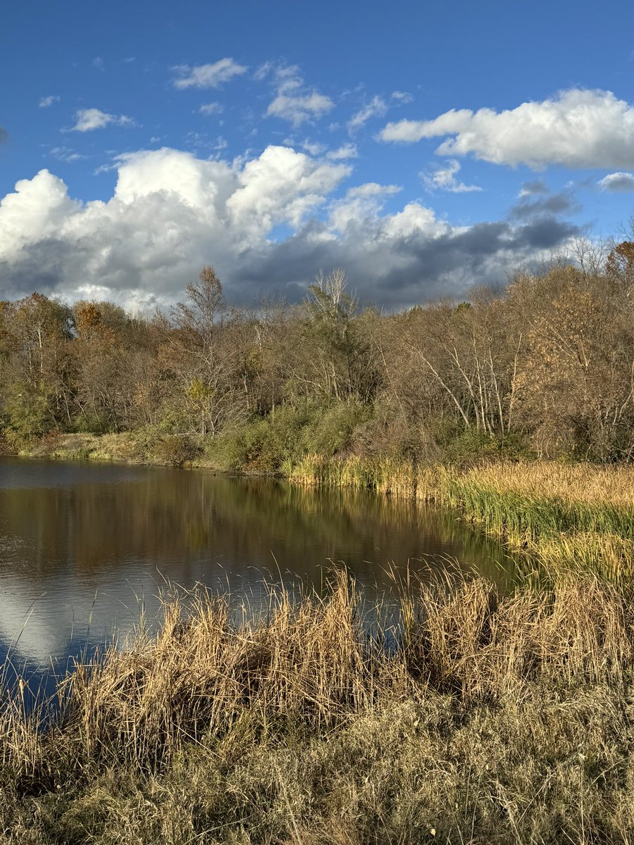 rdennisjr's tweet image. All the fuel for 15 miles of run/walk around the lakes and ponds of West Omaha today. A perfect fall day to clear my head and make my feet hurt in the best way! #fallrun ing