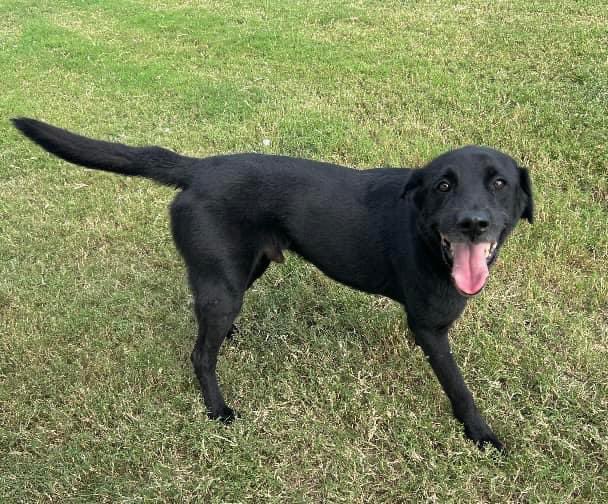 Lisa Brabson. tweet media