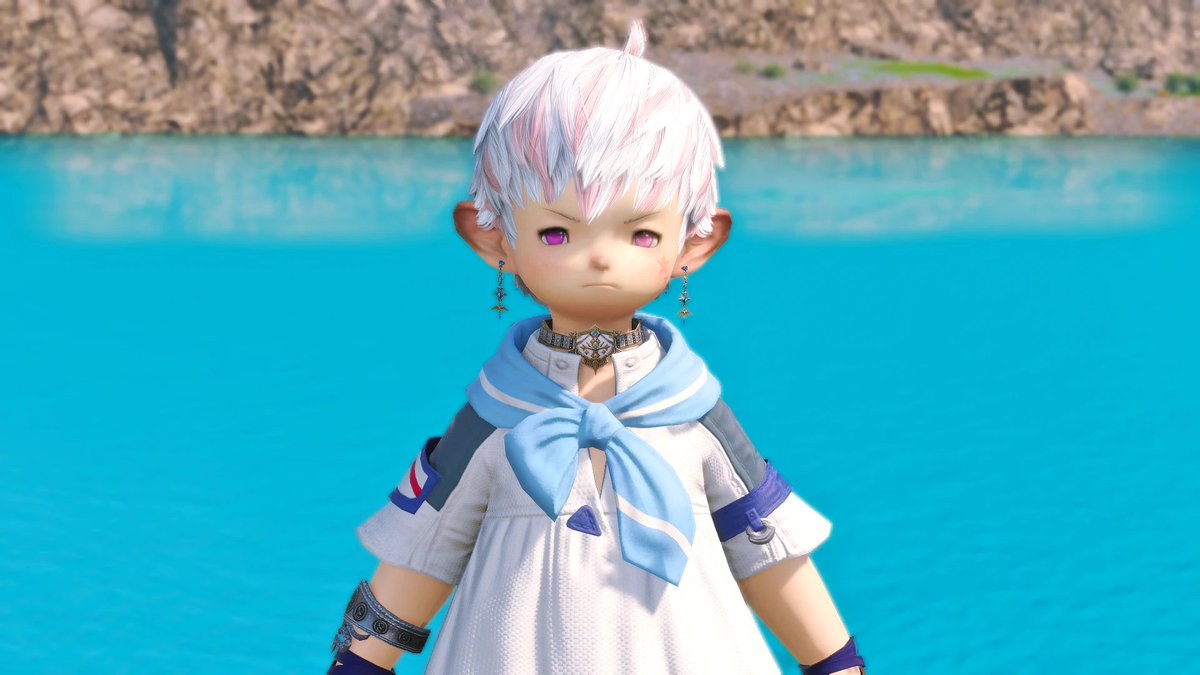 艳翼蛇鸟与摆着臭脸拍证件照的小肥