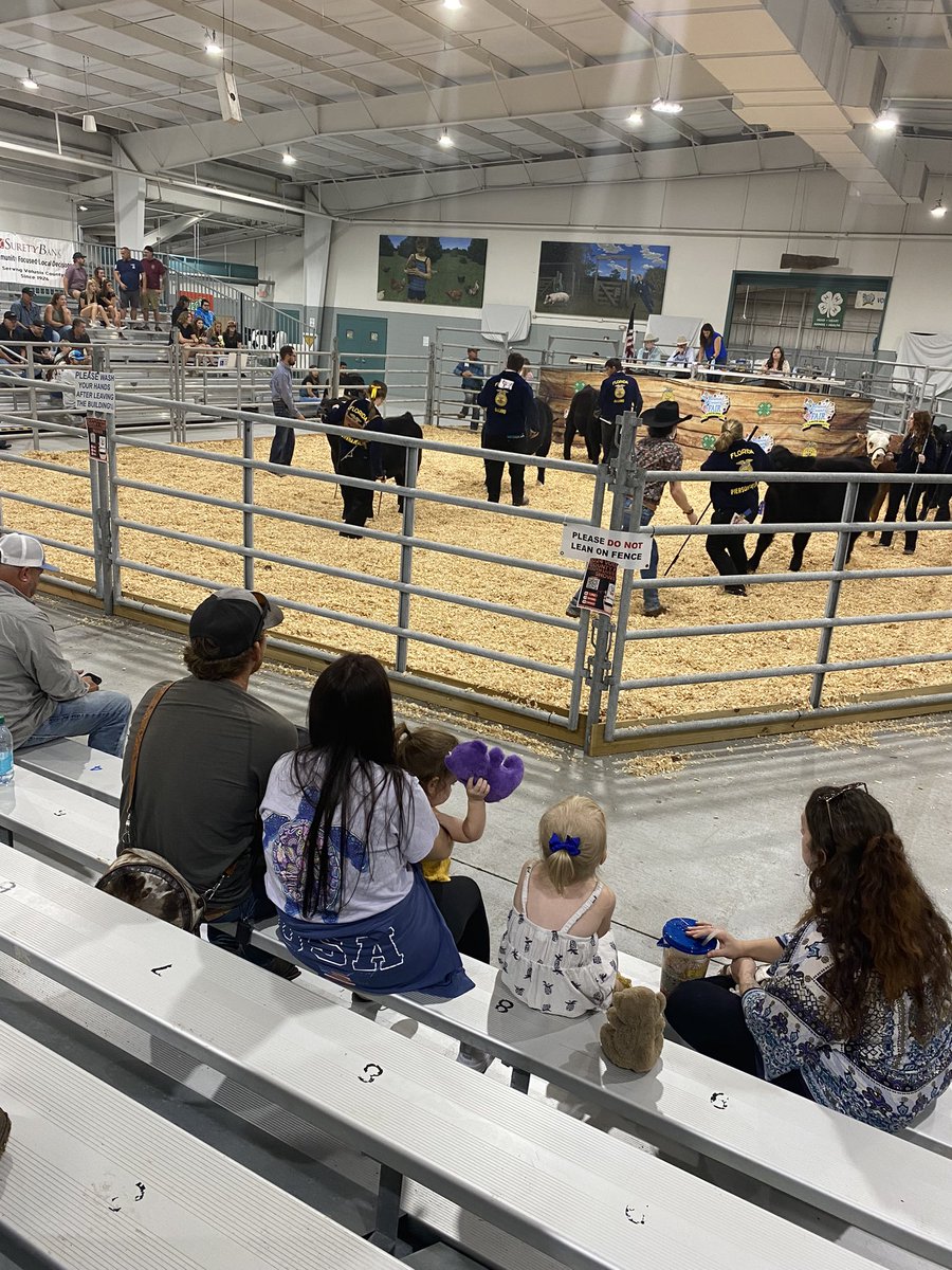 Aubrey McNutt’s heifer places 4th at the county fair.  Advantage Cudas..