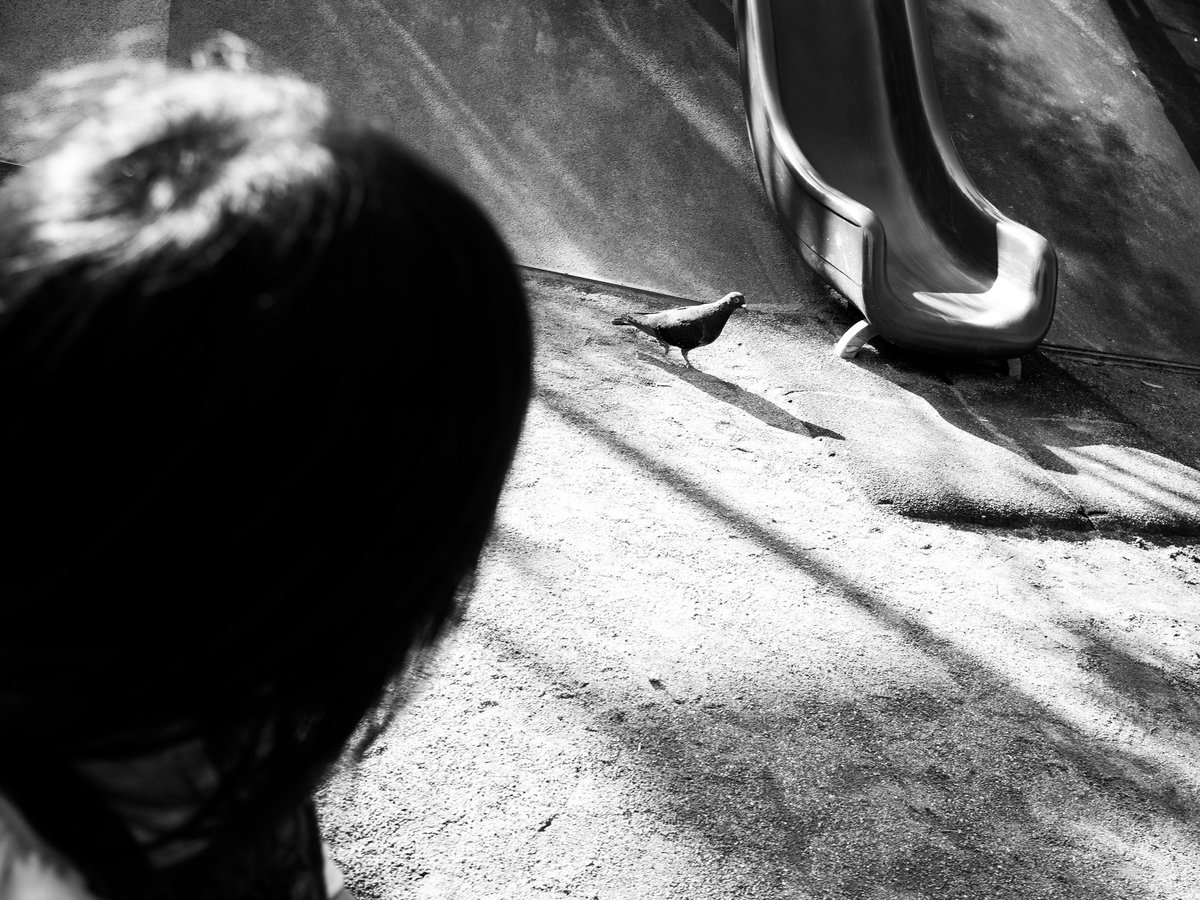 photonmt's tweet photo. #ricoh  #ricohgr2 #grsnaps https://t.co/TS0NP5UVxL
