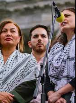 dellavaris's tweet photo. Maybe Chloe & Marama should really nail their colours to the wall, ditch the keffiyeh and don full face burka 🤔#GreenFail #LeftLosingWomen https://t.co/Ol4aupT960