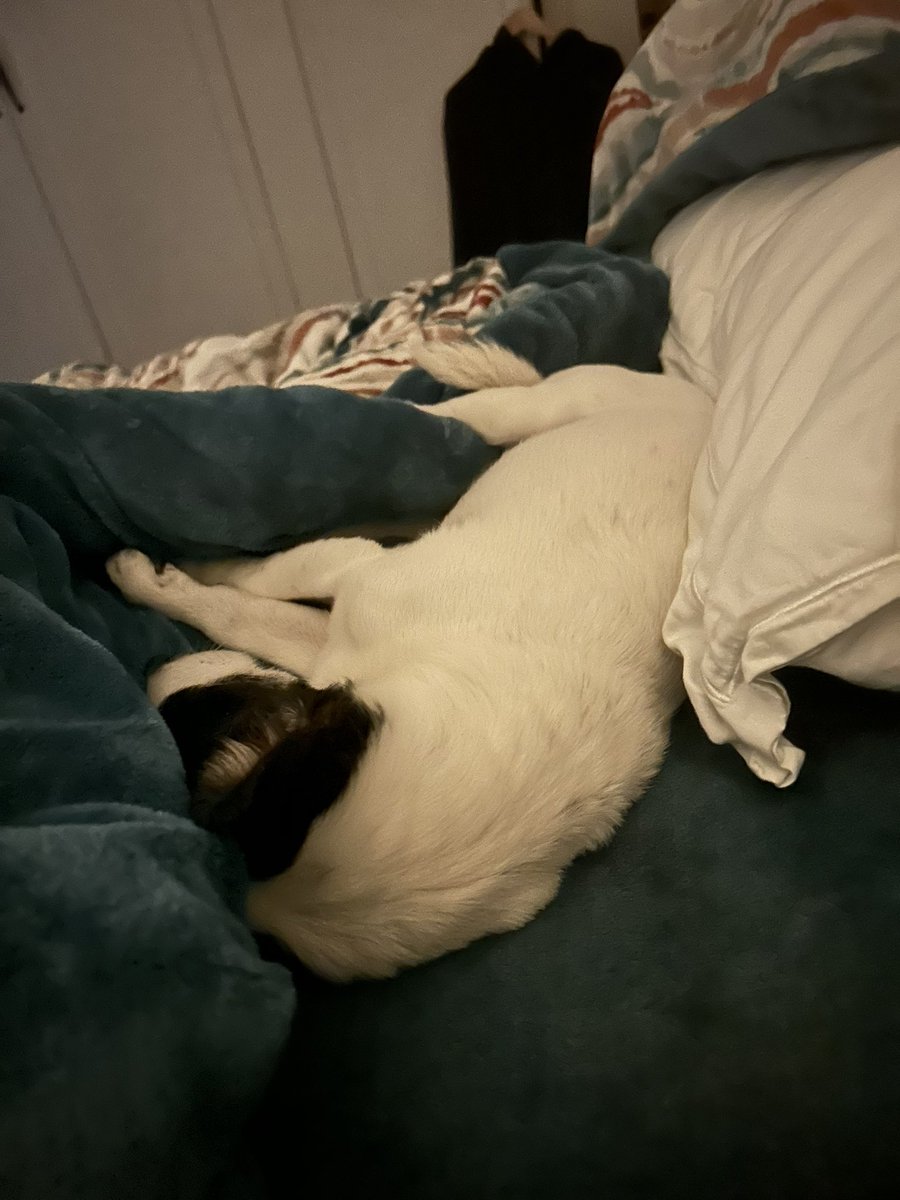 Settled down for the night 🤭😴