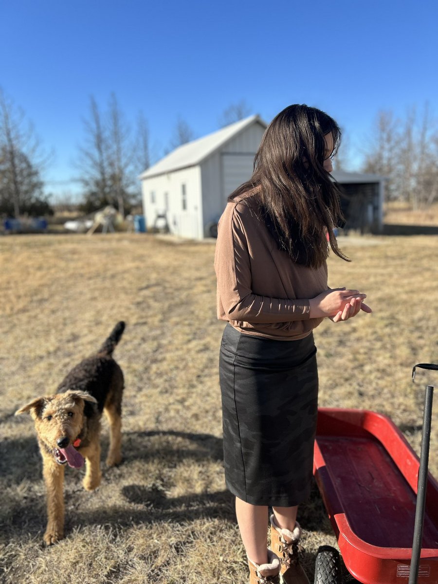 MTsteamboat's tweet photo. Between McKenzie roaming the yard, cats running wild, today’s photo shoot was pretty successful!! #airedaleterriers #mtsteamboat #montana #shopsmall
Shop small! 🛍️
⬇️
https://t.co/kLh6PjhZjm https://t.co/DrhGo6K9Tx