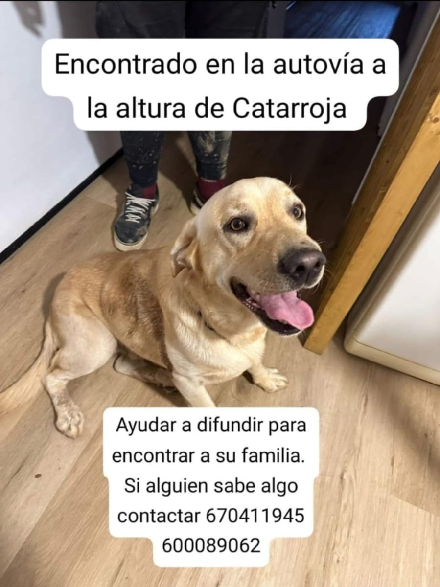 SOS Salvando Vidas España. tweet media