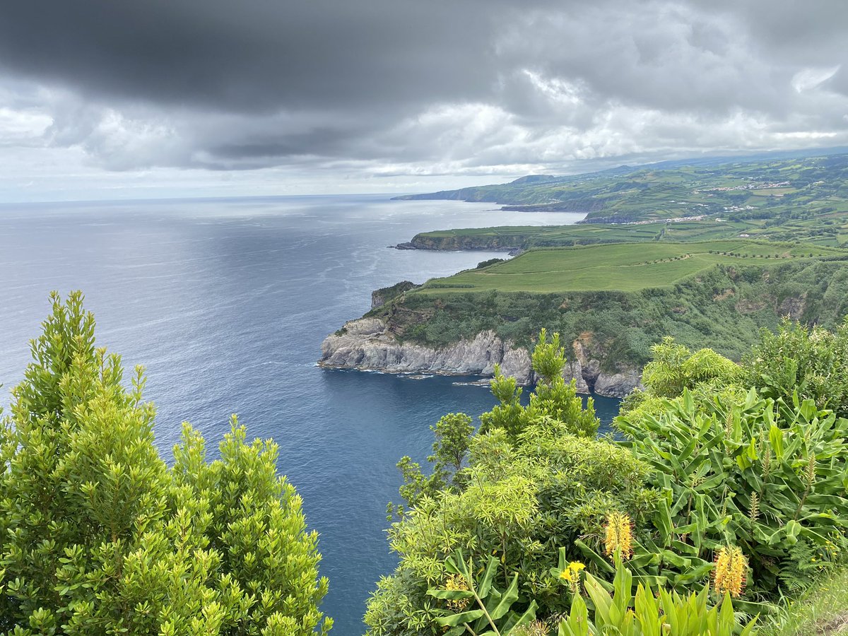 Descansa IA, estimat germanet!