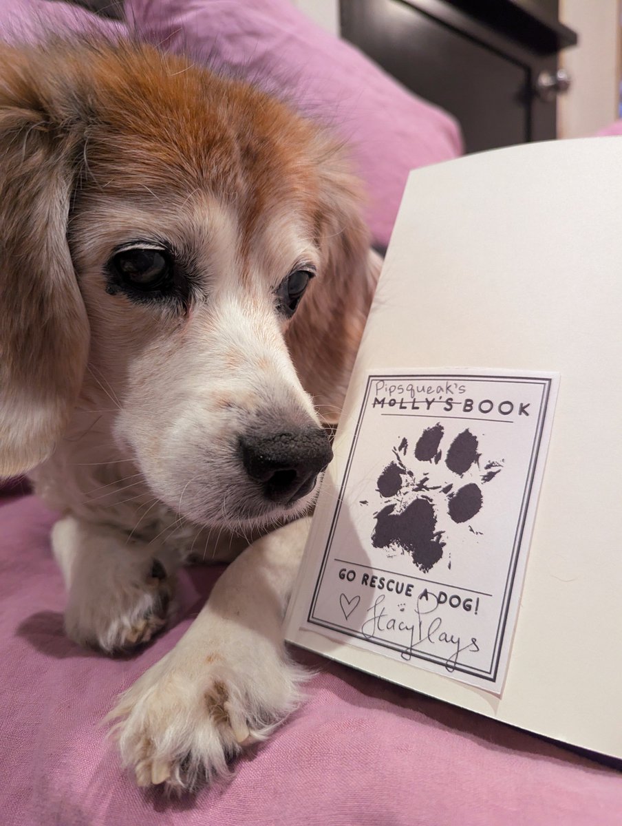 🐾StacyPlays tweet media