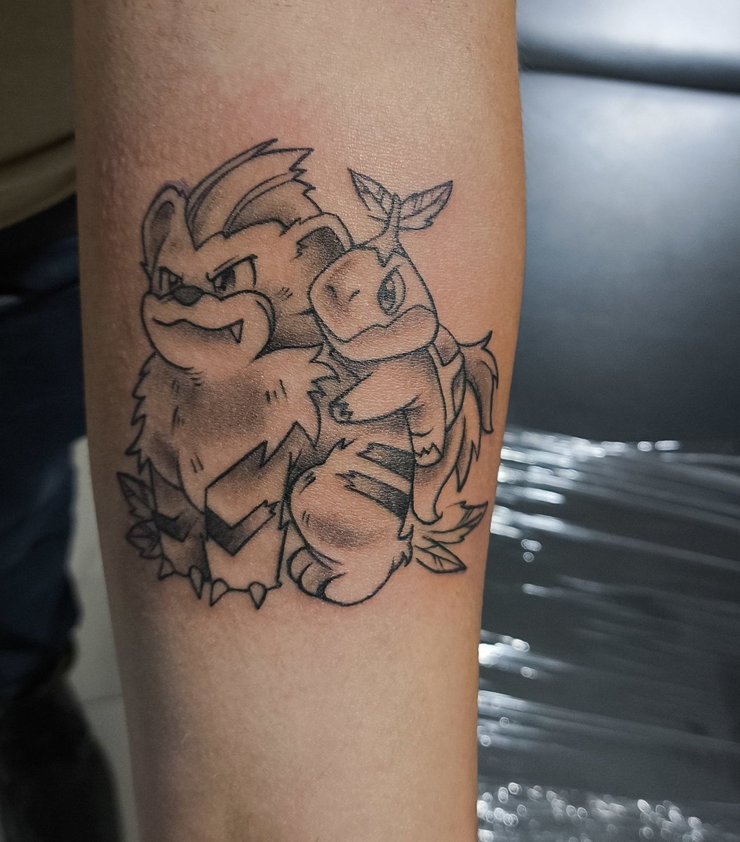 mikeygenn's tweet photo. @ElAlacrancillo_ Mi pana pokemon favorito growlitte y mi inicial favorito turtwing ❤️‍🩹 https://t.co/VOCJ39f3SS