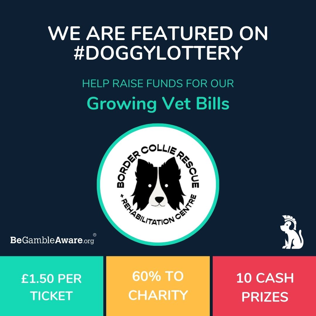 We are back on #DoggyLottery

A charity lottery raising funds for small dog charities like ours. 

We have 4 weeks to get to the top of the leaderboard. Will you help us? 

The raised funds will go towards our Growing Vet Bills

It’s £1.50 to enter and a whopping 60% goes to the