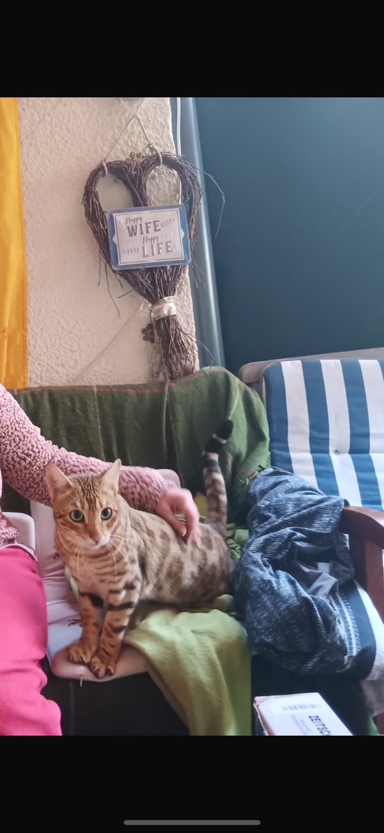 Britta Schäfer 🇩🇪#Jib16 (@brittaschfer1) on Twitter photo 