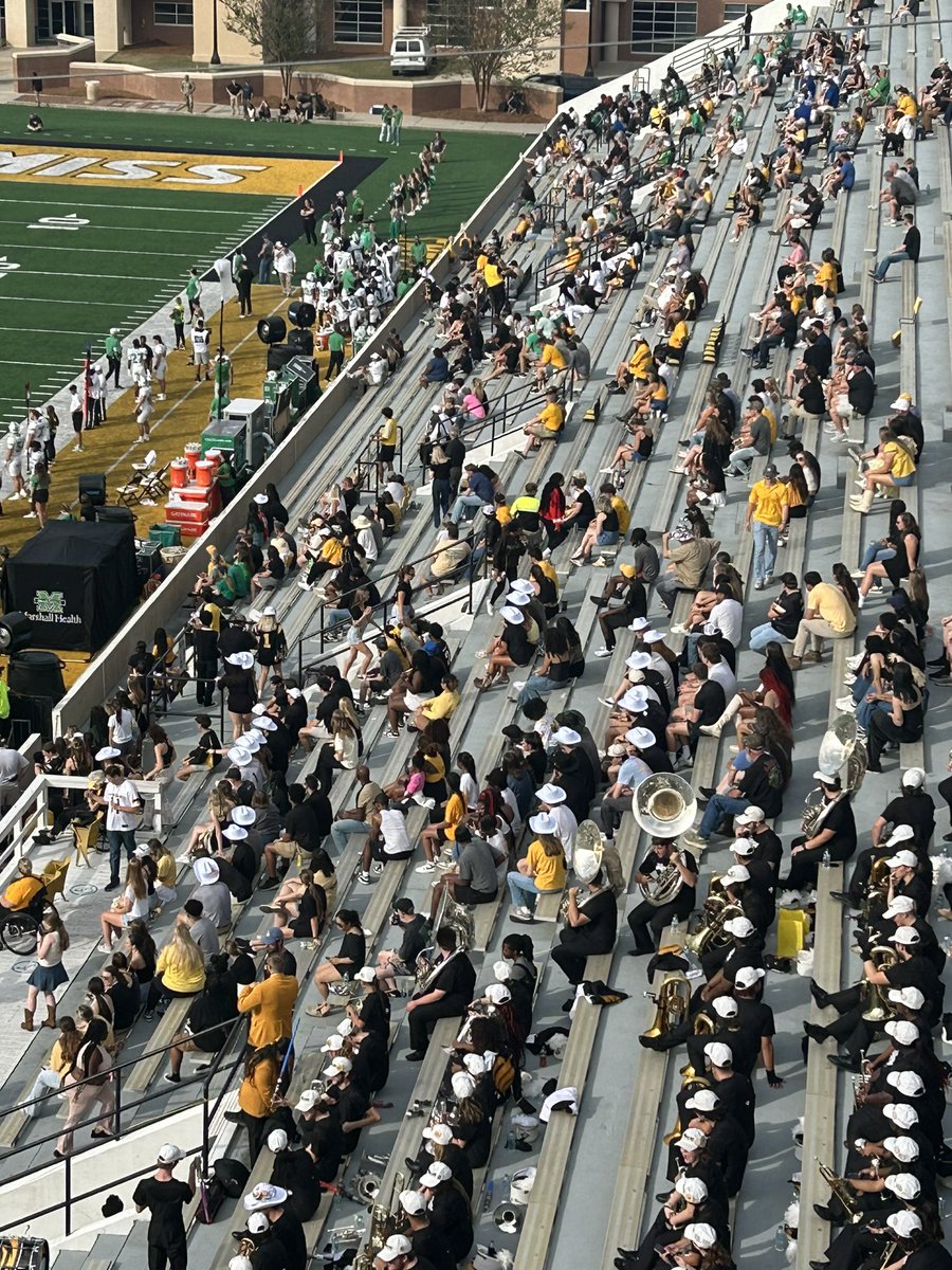 Mustard Buzzard Bleacher Creature™️ tweet media