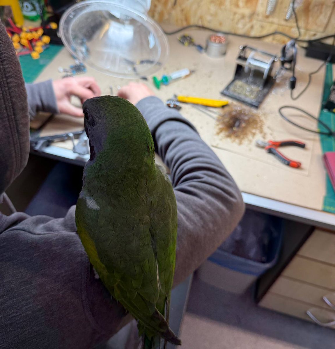 Necro Mancer tweet media