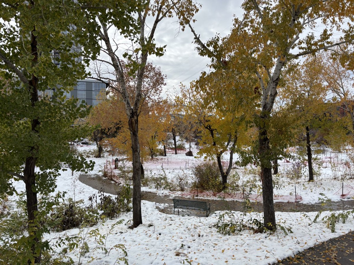 @eyesonSDskies (@eyesonsdskies) on Twitter photo Winter and fall wonderland: My son is loving Denver’s biggest November snowstorm in decades. Winter and fall wonderland: My son is loving Denver’s biggest November snowstorm in decades.