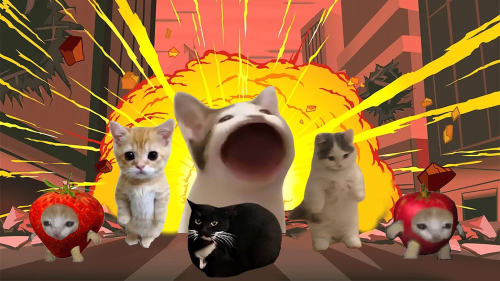 maxwellcoinsol's tweet photo. cat season. https://t.co/mAFAb7fk3h