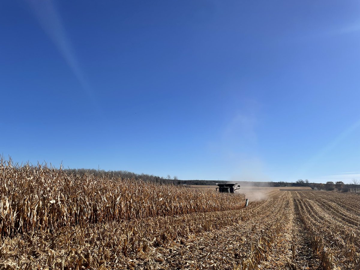 ScoutingFields's tweet photo. My goodness what an incredible November harvest day again to learn about hybrids and do some yield comparisons. P96760V can put out some yield topping the plot at 299.8 BPA. @HeatherMoore3 @JasonTait3 @PioneerSeedsCA @Cheech_Cheech @williakd https://t.co/mS3JLUPOGU