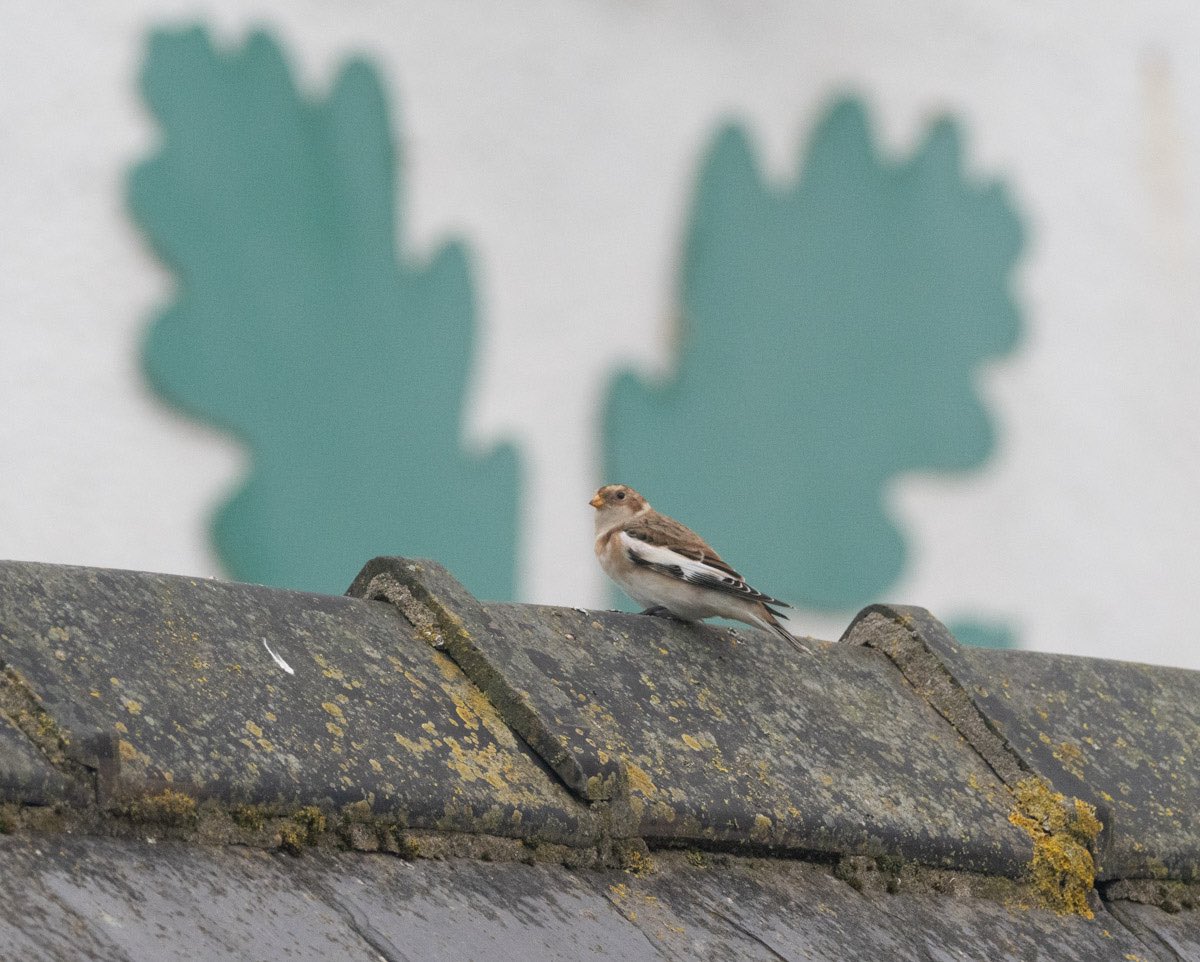 Mark Hipkin tweet media