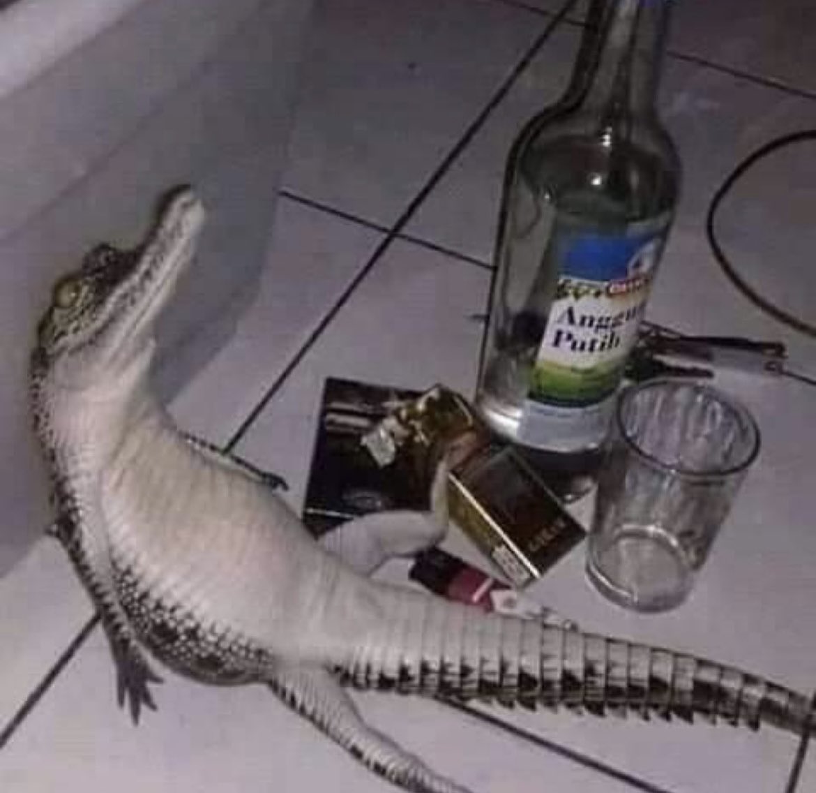 InAllKindsOfWeather.com tweet media