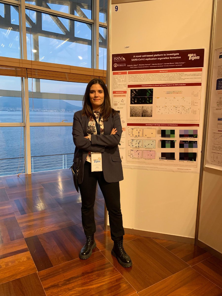 sofia_tiano's tweet photo. 🔬 #science and fun in Sorrento Coast! 

In the last few days I had the pleasure to join my second #Tigem retreat. Great talks and beautiful #sunsets 🌅 chatting about cell biology and showing off some #viral replication #organelles from #Sarscov2 https://t.co/LhtfgCAV51