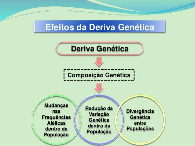 studywithus0's tweet image. 