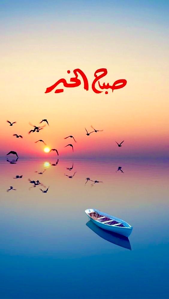 9lbbb's tweet photo. صباح الخير🦋 https://t.co/vcirM8Ou4F