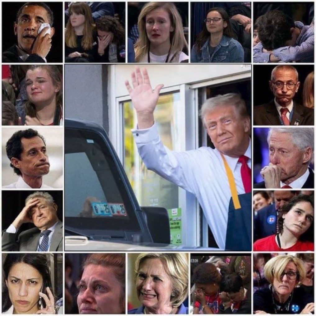 Mary McCarthy tweet media